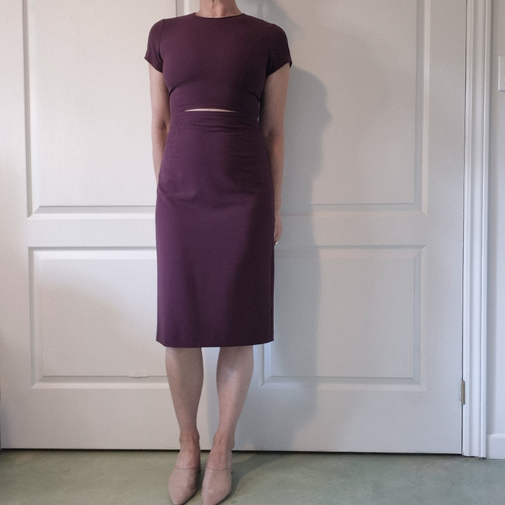 Babaton Slim Short Sleeve Power Dress in Burgundy | Size 4